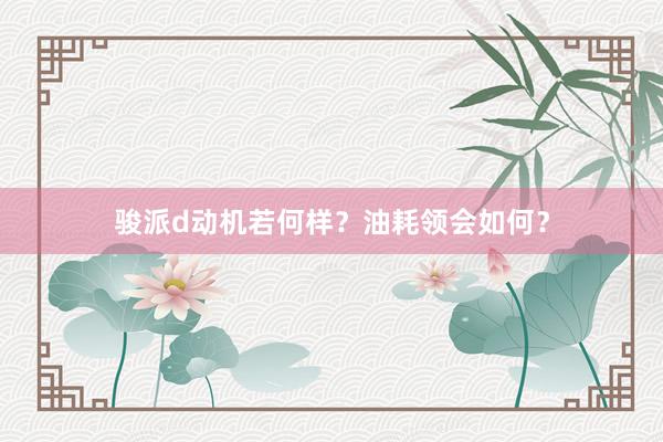 骏派d动机若何样？油耗领会如何？