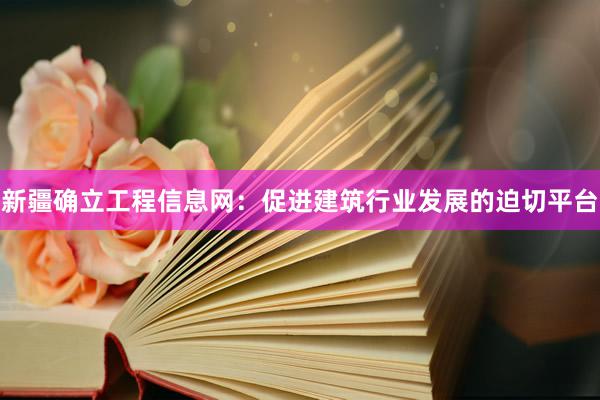 新疆确立工程信息网：促进建筑行业发展的迫切平台